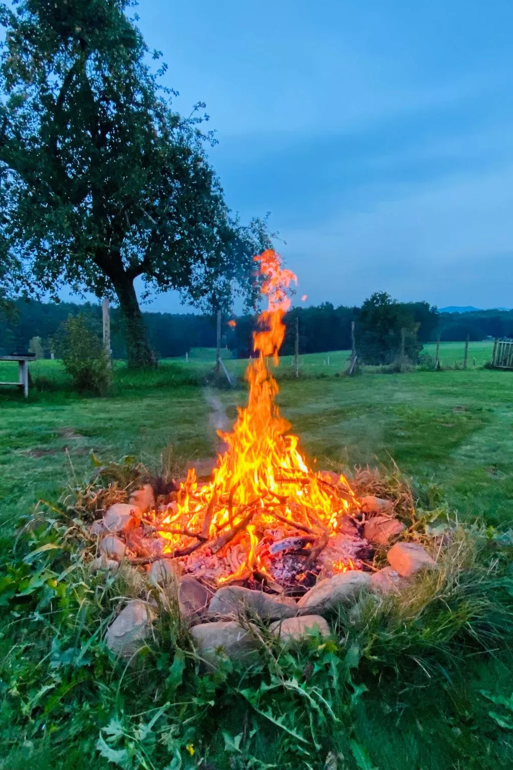 Kellerstöckl am veganen Bio-Lebenshof - Varm - the vegan Farm - Draußen