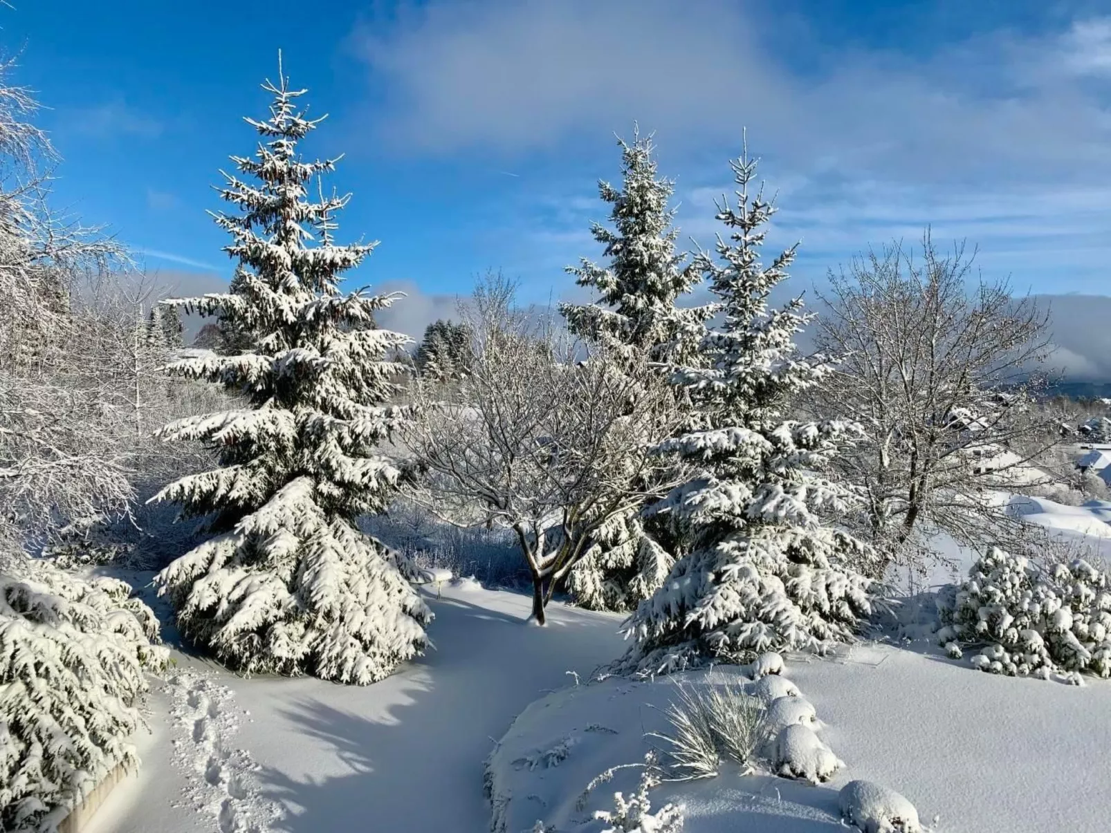 Haus Schneekappe - Outside