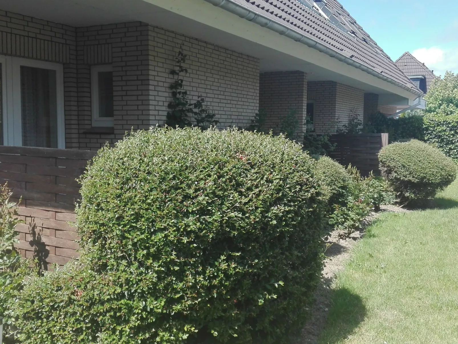 Haus Meeresbrise Wohn. Nr 5 mit Terrasse (copy) - Draußen