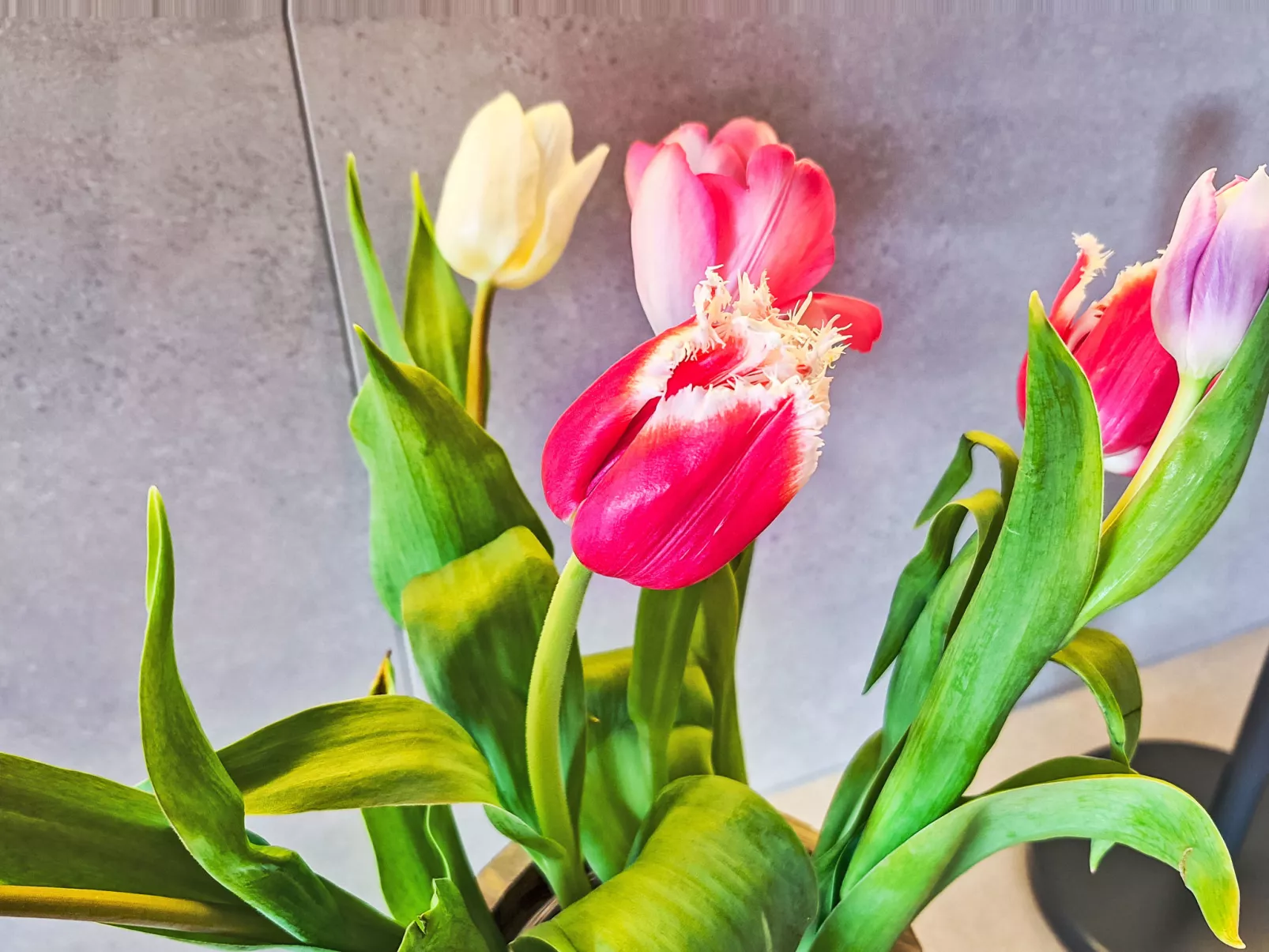 Panoramablick Tauern - Inside