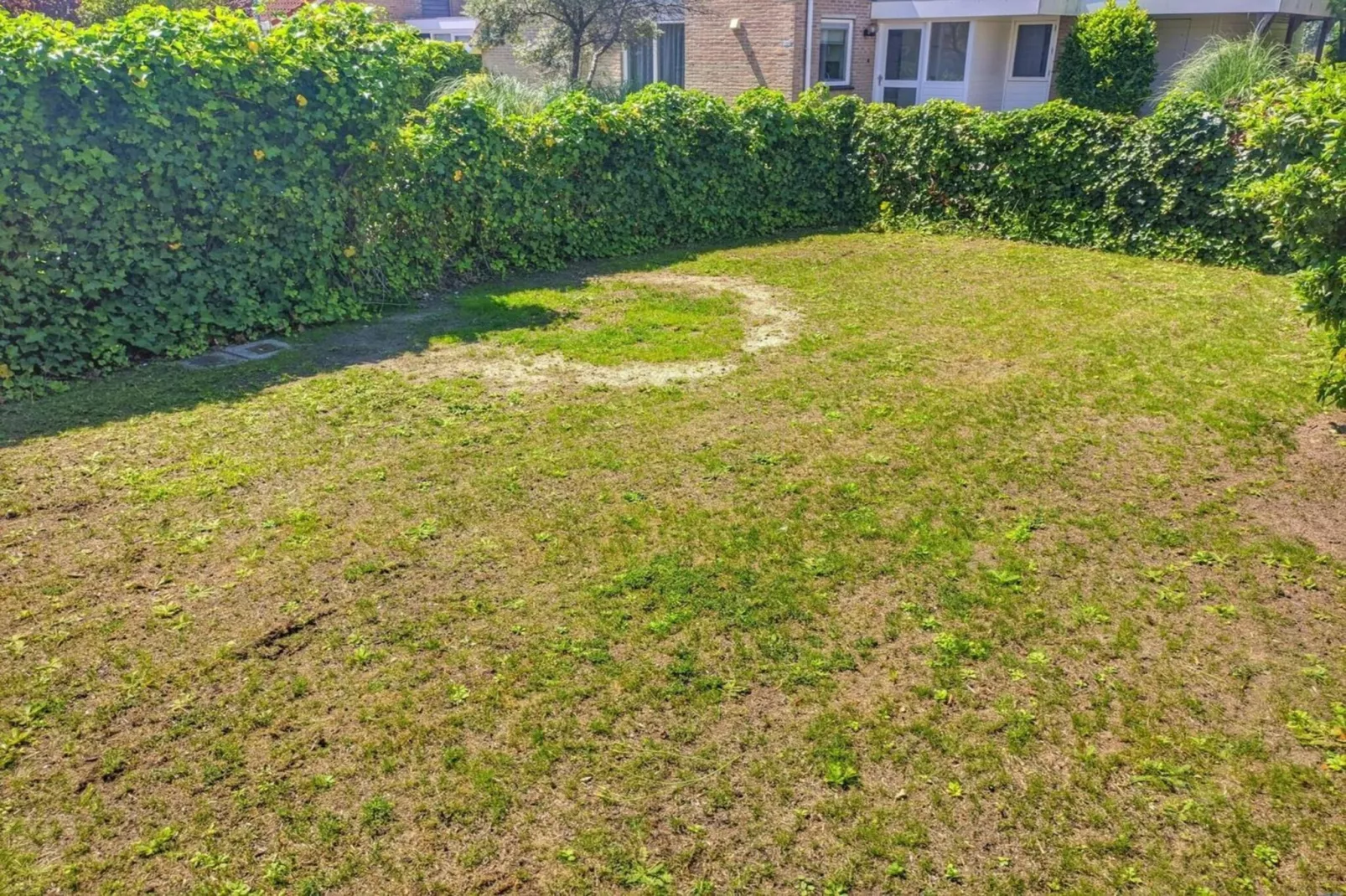 Scheldeveste 143 Zwin Breskens - Garten Sommer