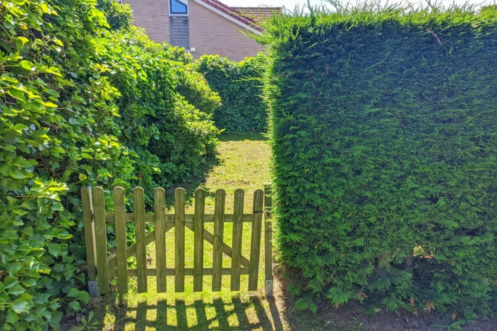 Scheldeveste 143 Zwin Breskens - Garten Sommer