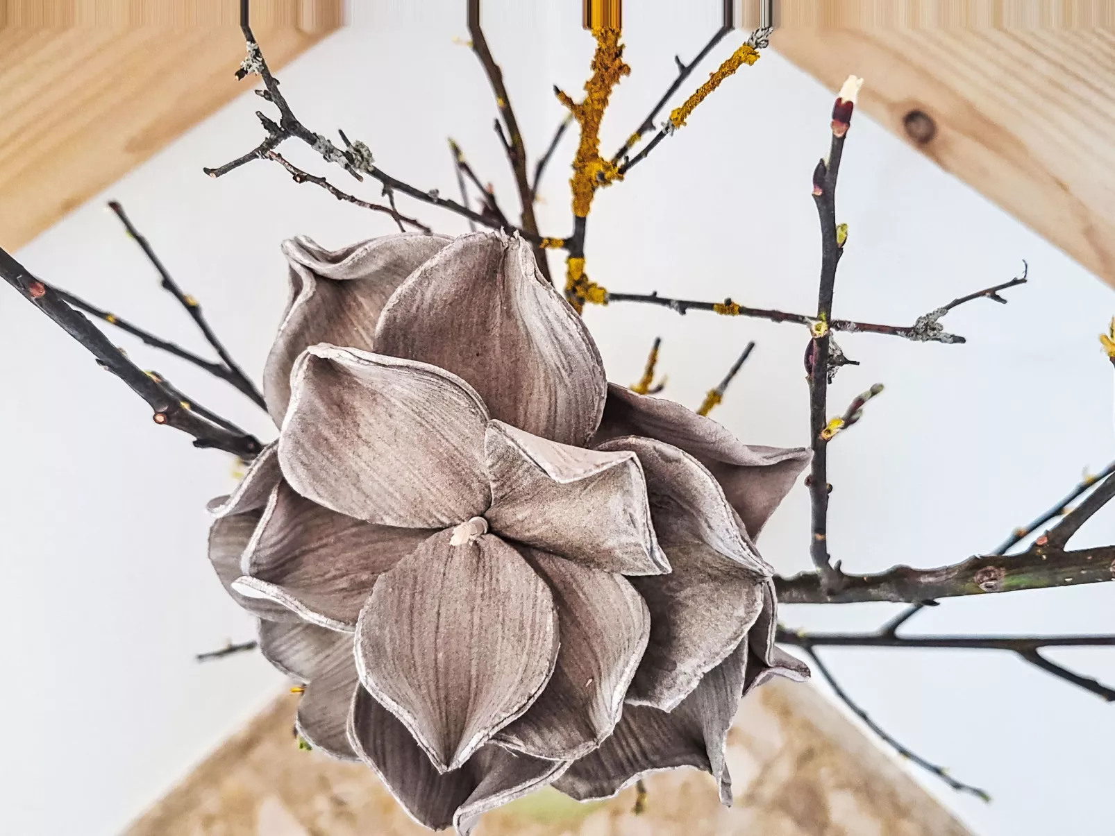 Panoramablick Tauern - Inside