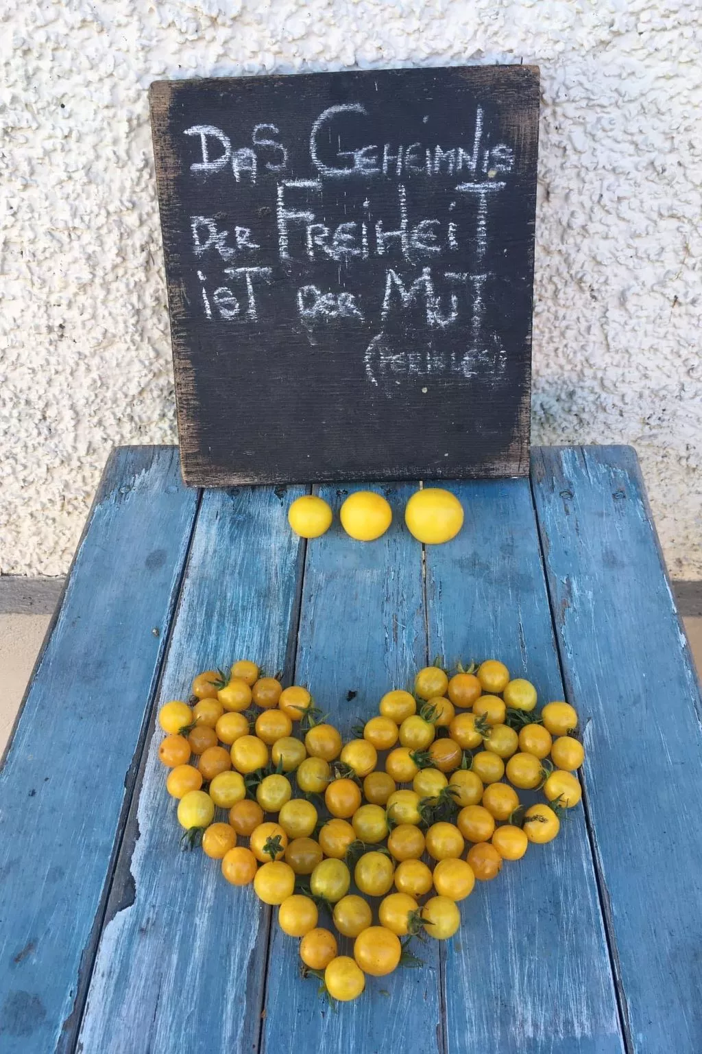 Kellerstöckl am veganen Bio-Lebenshof - Varm - the vegan Farm - Drinnen