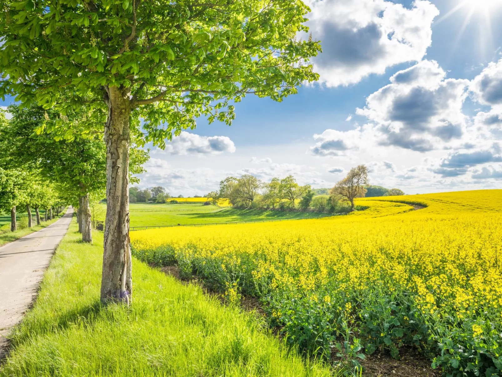 Hey Beachvilla - Draußen