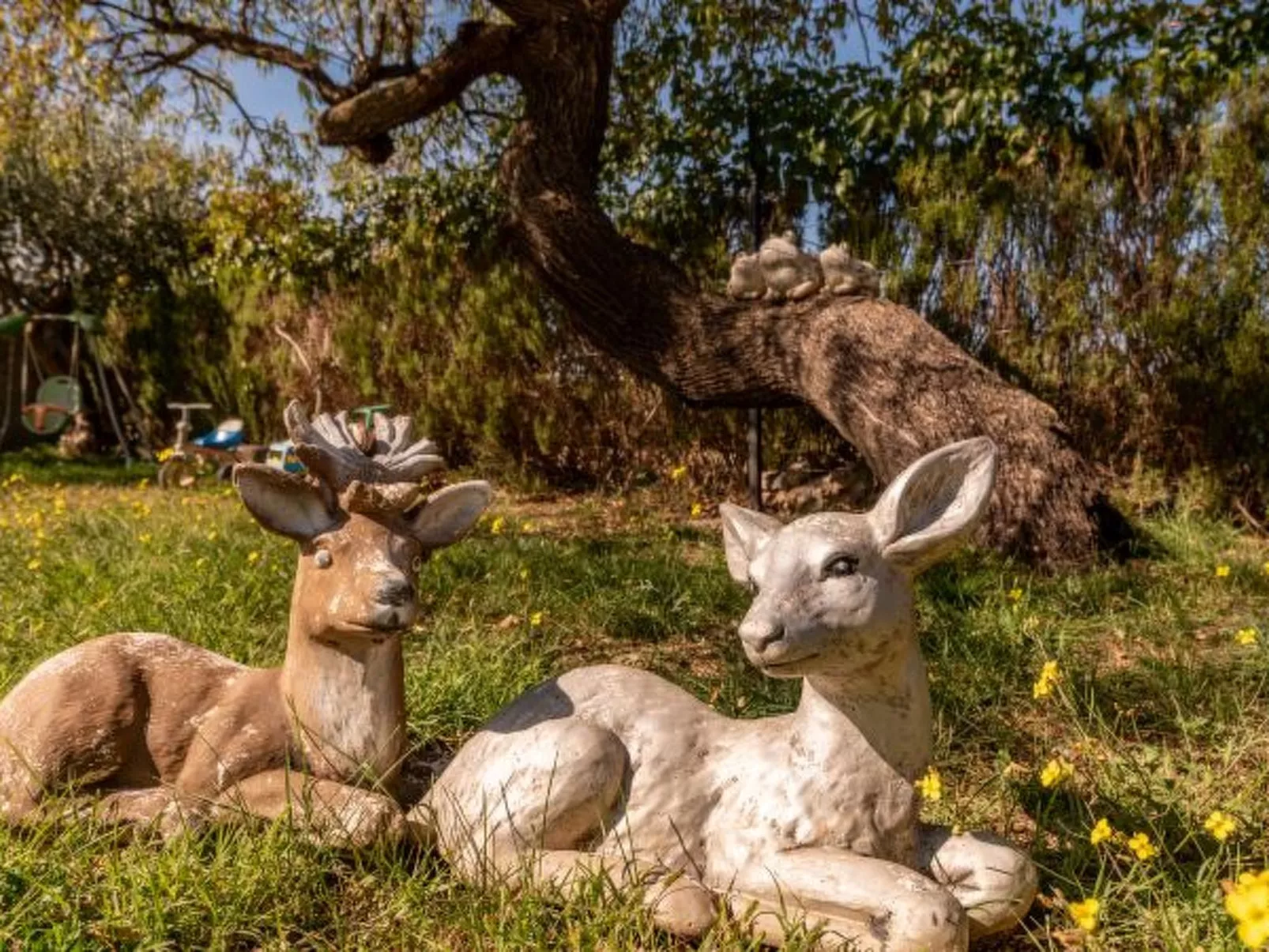 Villa Serena with pool - Image-tags.info