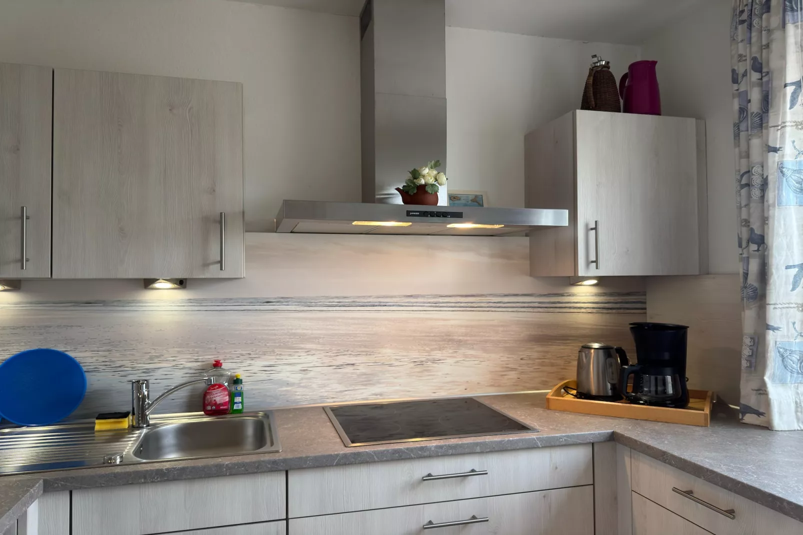Ferienhaus Seeigel - Kitchen