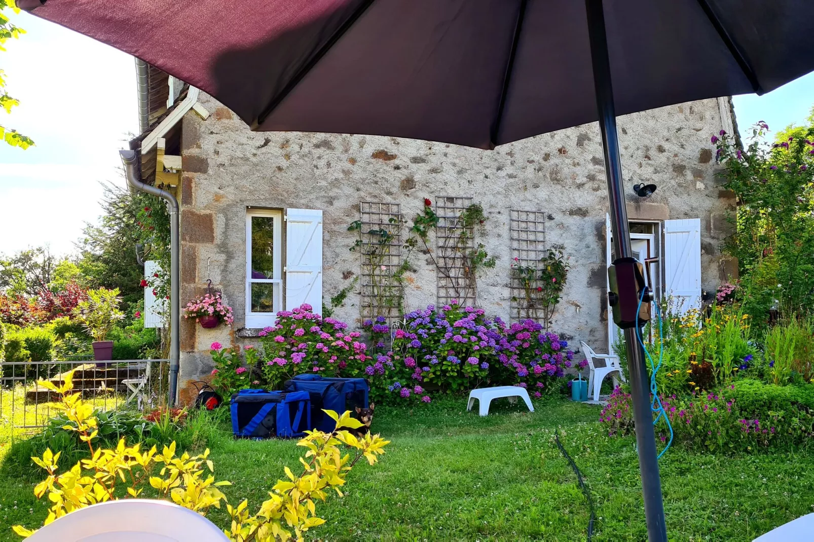 Petite Plaisance-Gardens summer