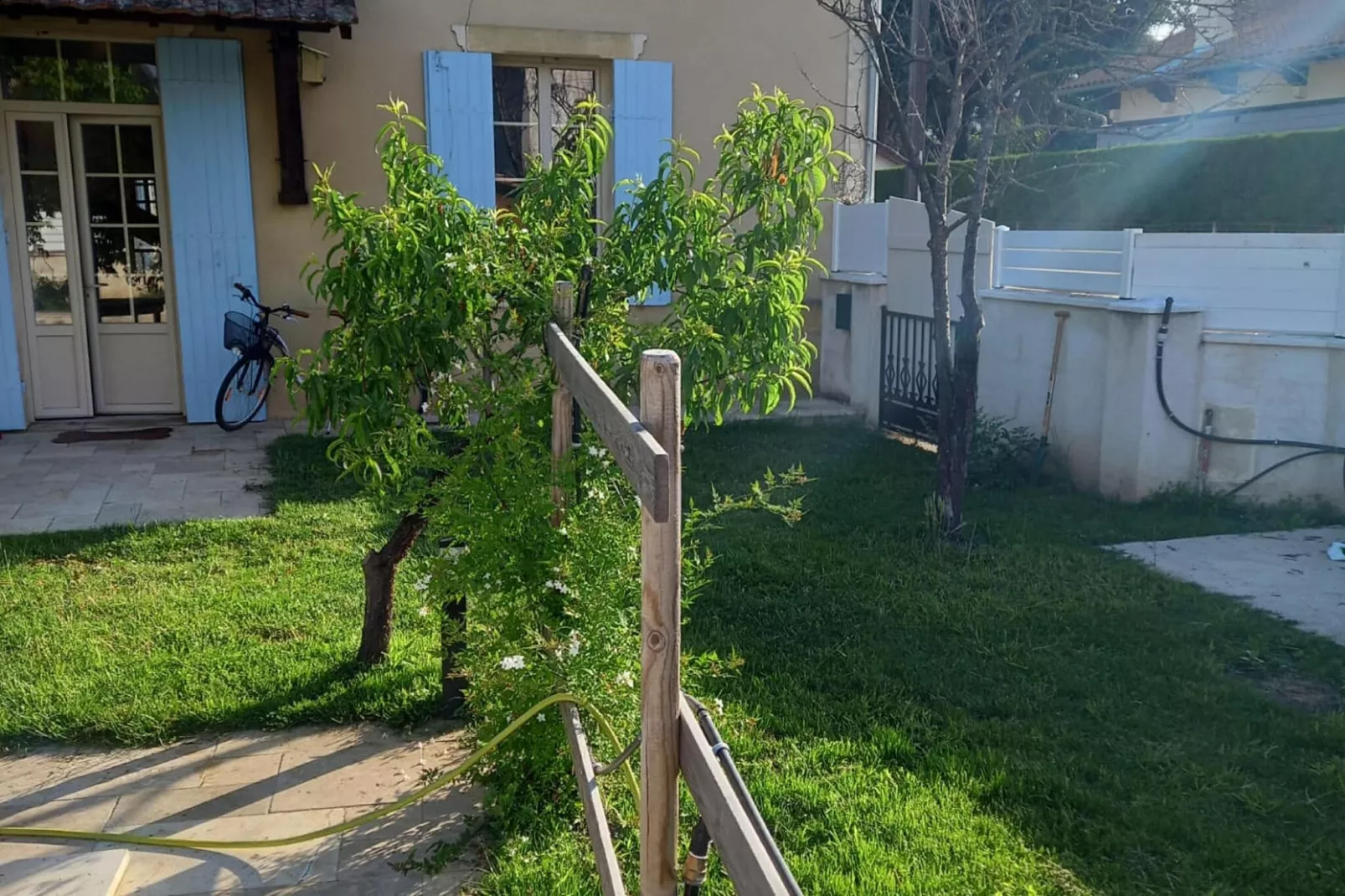 Maison Pool-Gardens summer