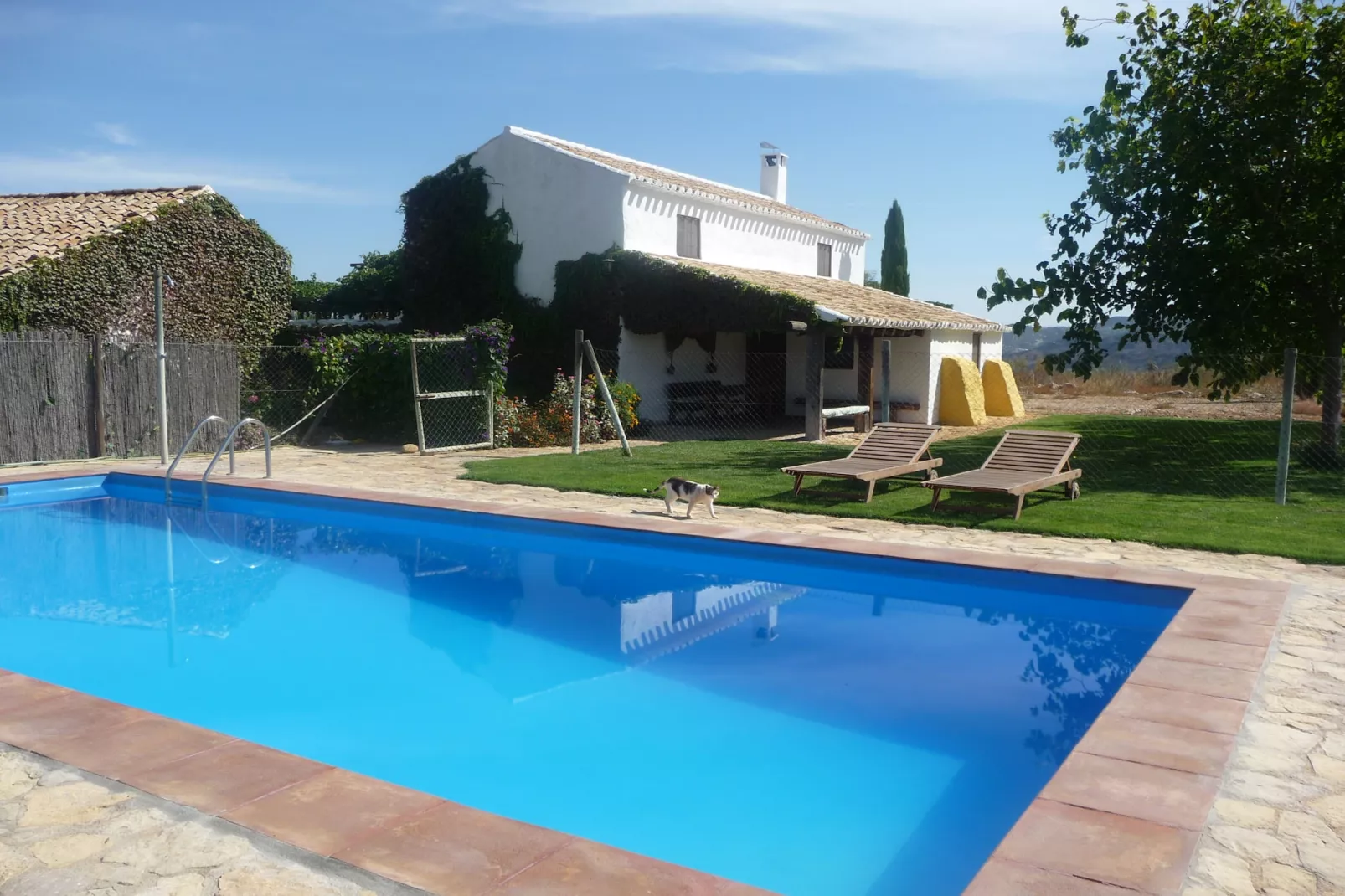 Cortijo El Morron - Schwimmbad