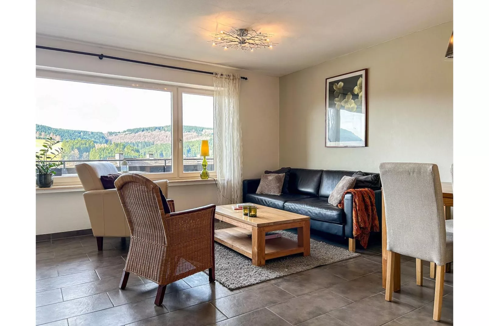 Appartment Schöne Aussicht - Salon