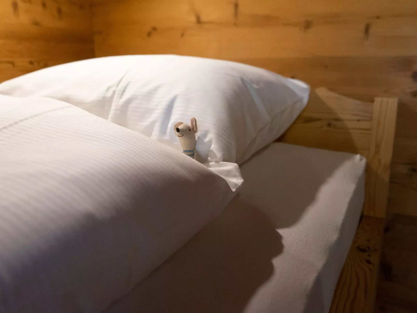 Chalet Selun - Draußen