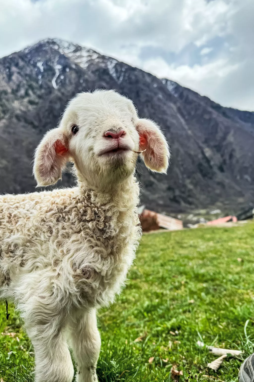 Chalet 'Casa al Pozzo' mit Bergblick - Dehors