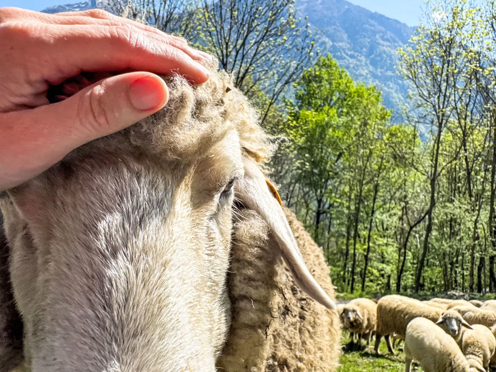 Chalet 'Casa al Pozzo' mit Bergblick - Dehors