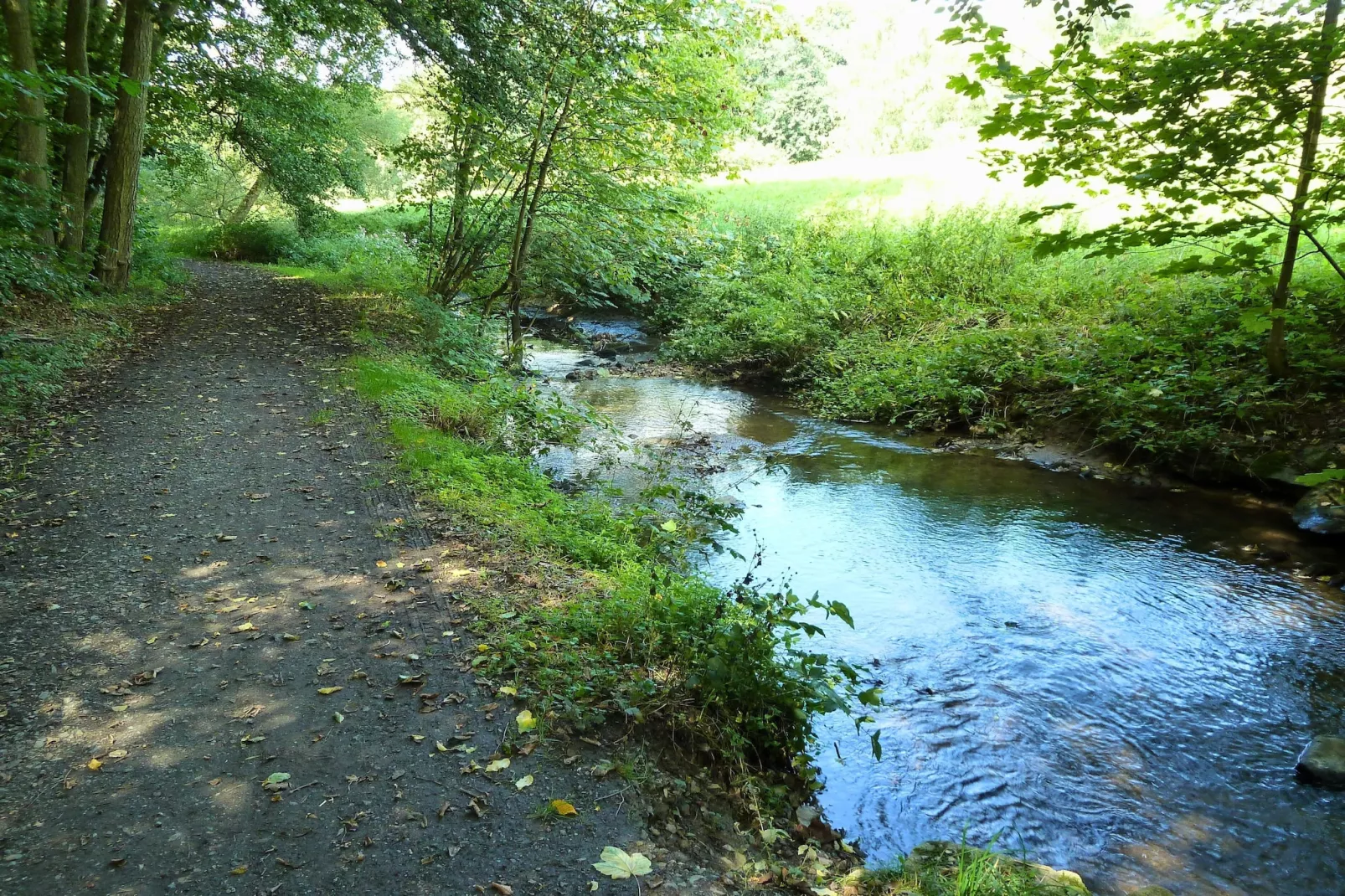 Apartment für Monteure Bad Camberg - Areas within 5km in summer