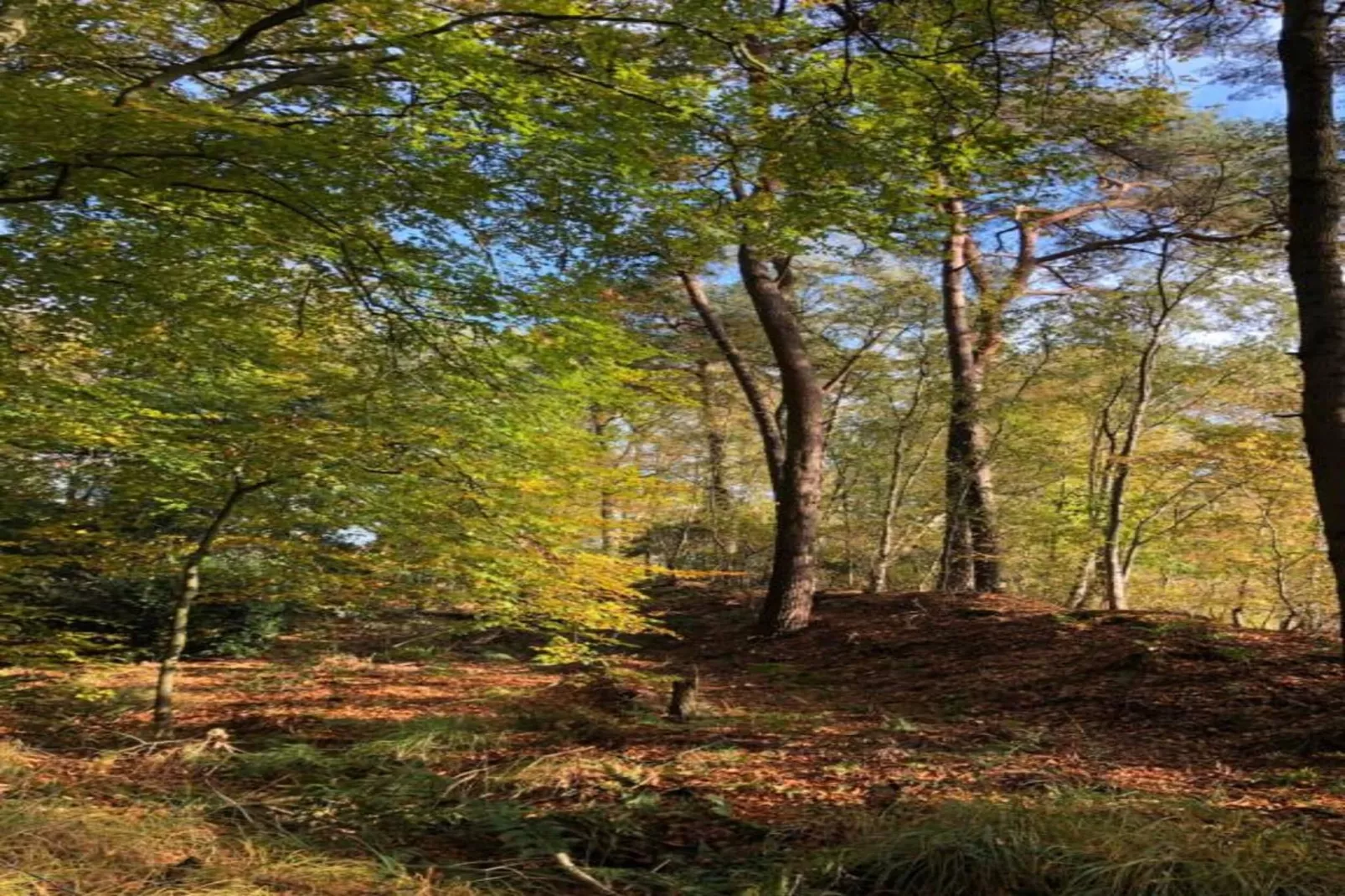 De Stevenshoek - Areas within 20km in summer