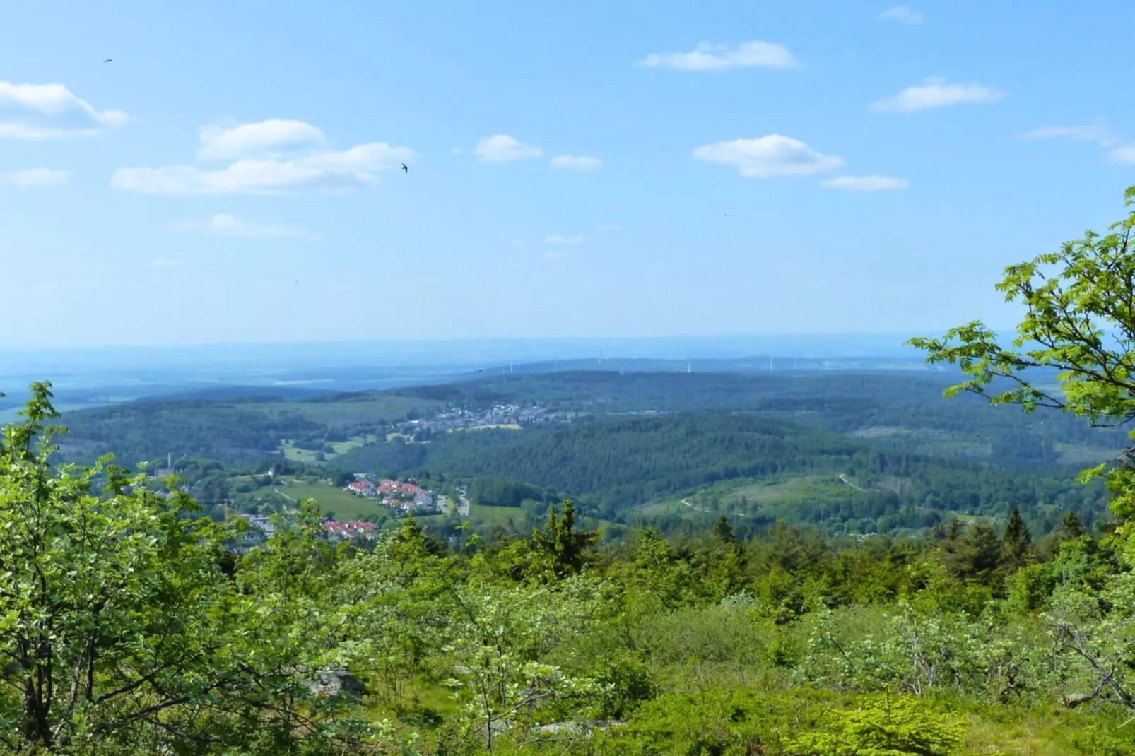 Apartment für Monteure Bad Camberg - Areas within 20km in summer