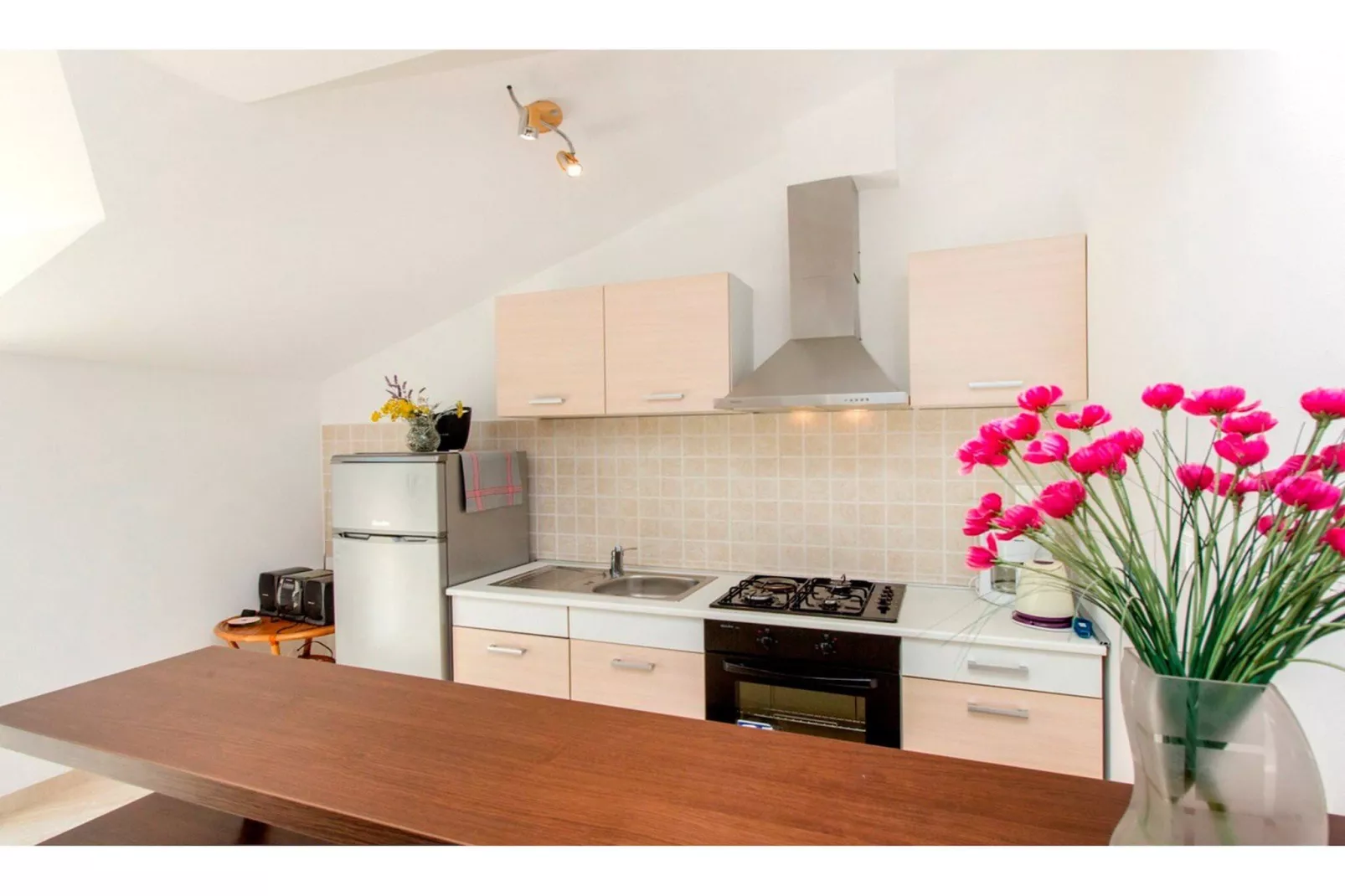 Villa Pletikosa - Kitchen