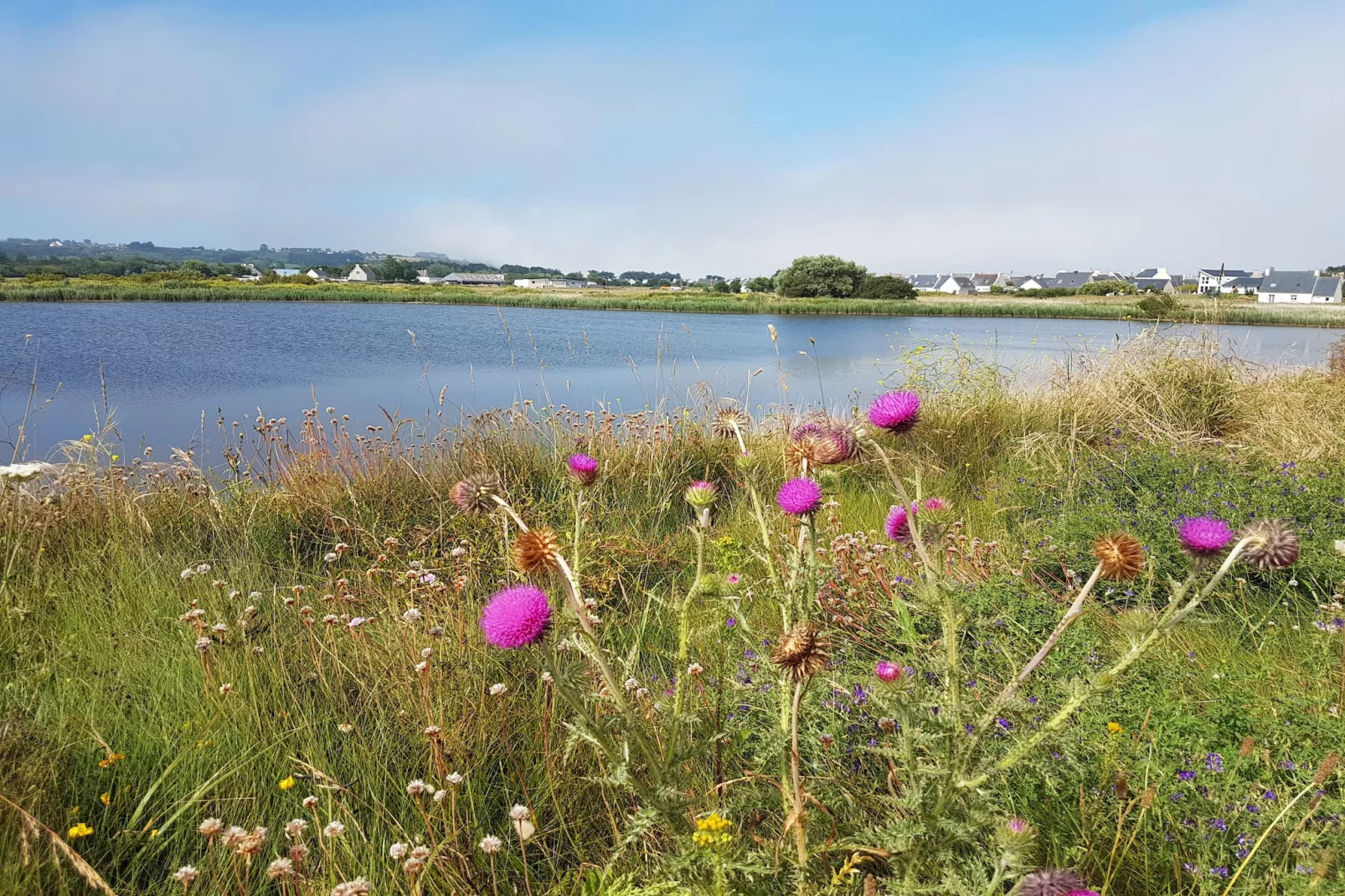 Ferienhaus in Strandnähe Guissény - Zones été à 1 km