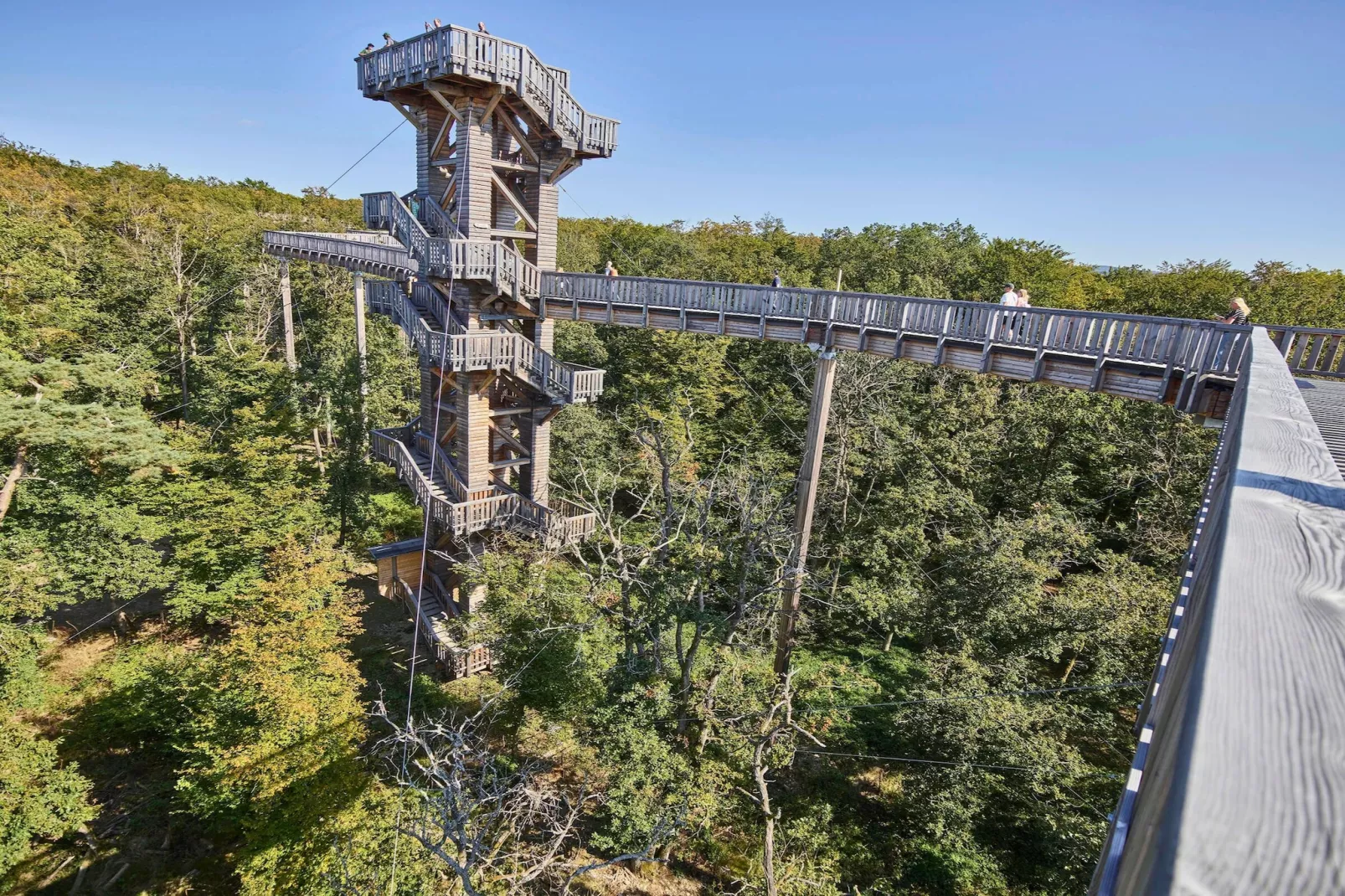 Apartment für Monteure Bad Camberg - Areas within 20km in summer