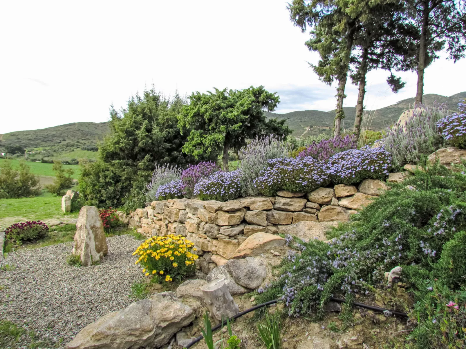 Stone Cottage - Outside