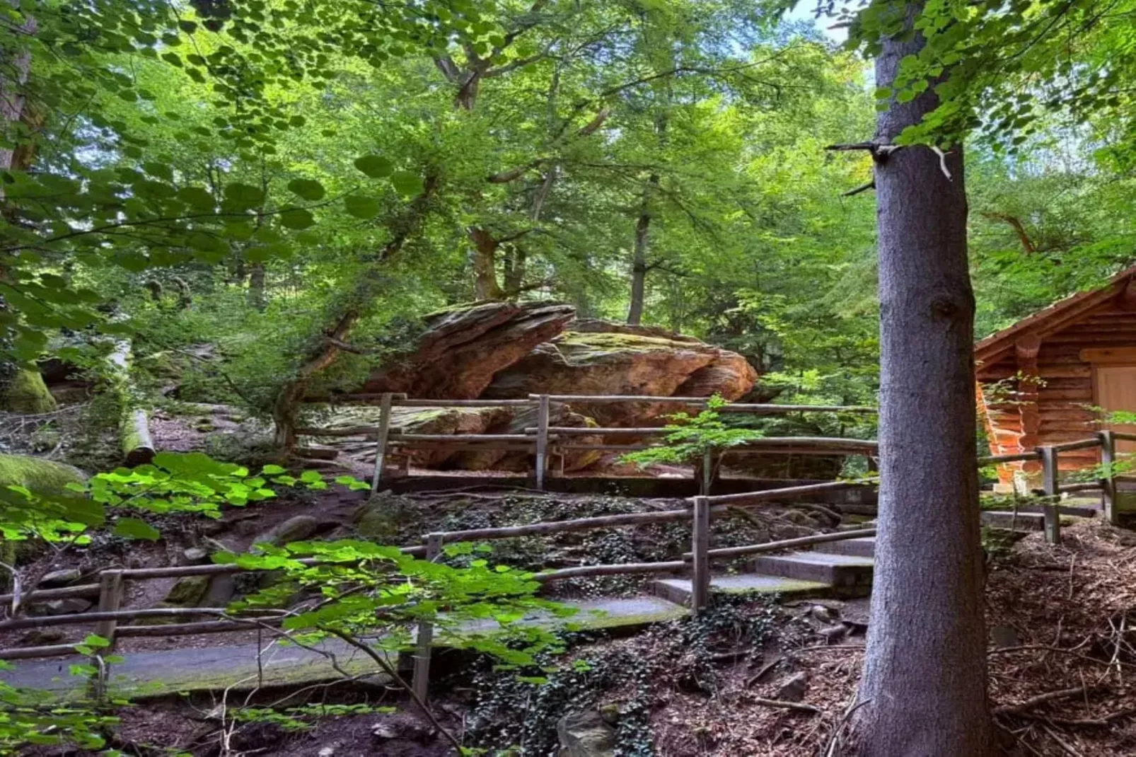 Apartment für Monteure Bad Camberg - Areas within 20km in summer