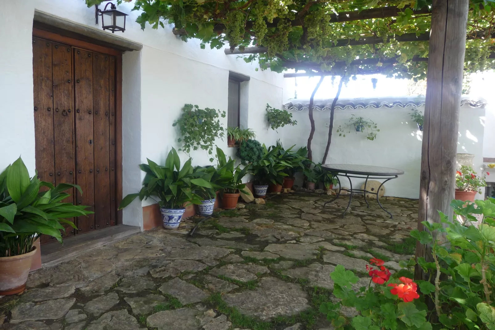 Cortijo El Morron - Garten Sommer