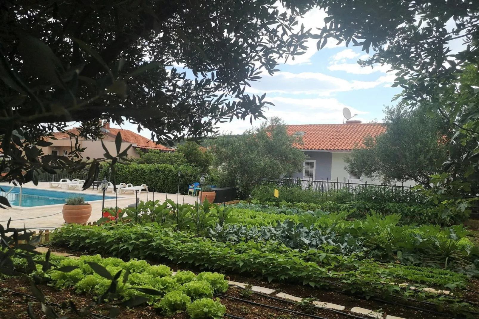 Villa Mendula - Jardins en été