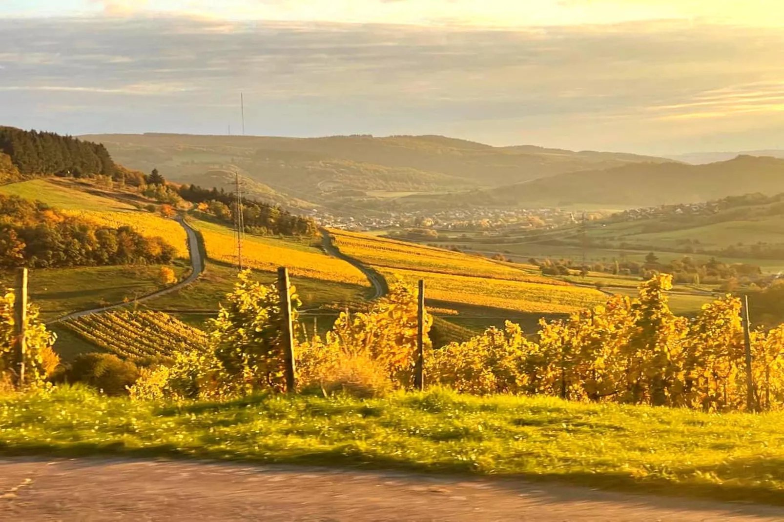 B2 Ferienwohnung Sonnentälchen - Gebiete Sommer 5 km