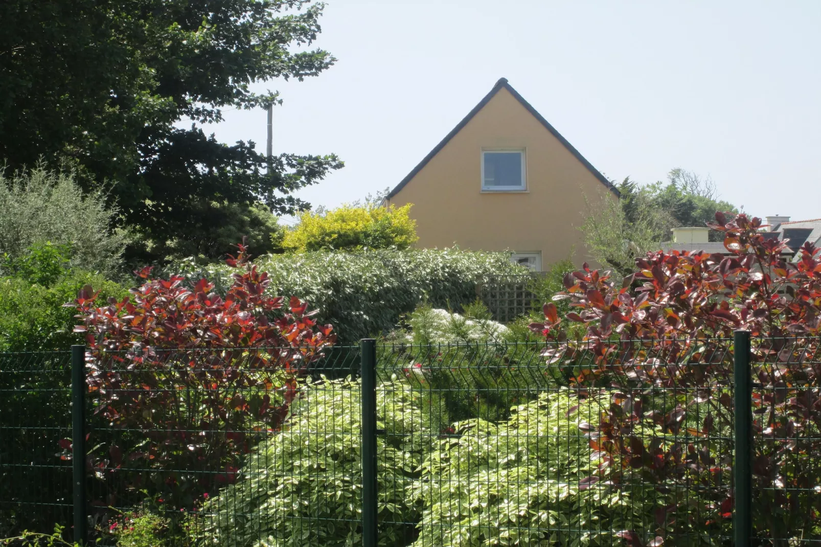 Ferienhaus Plounéour-Brignogan-Plages - Extérieur été