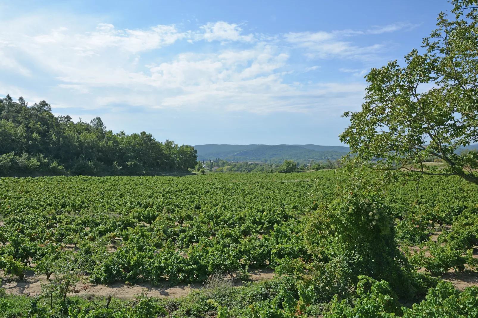 Le Mas - Gebiete Sommer 1 km