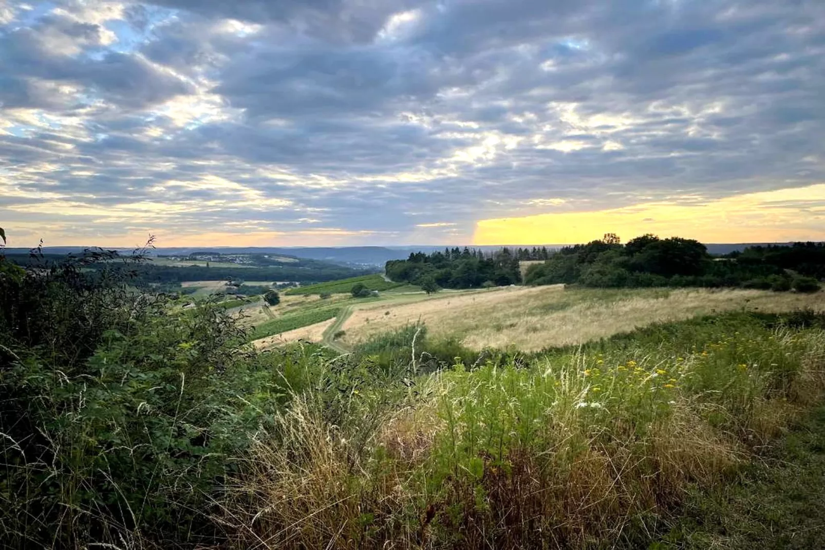 KN 16 Ferienhaus Sonnentälchen - Gebiete Sommer 1 km