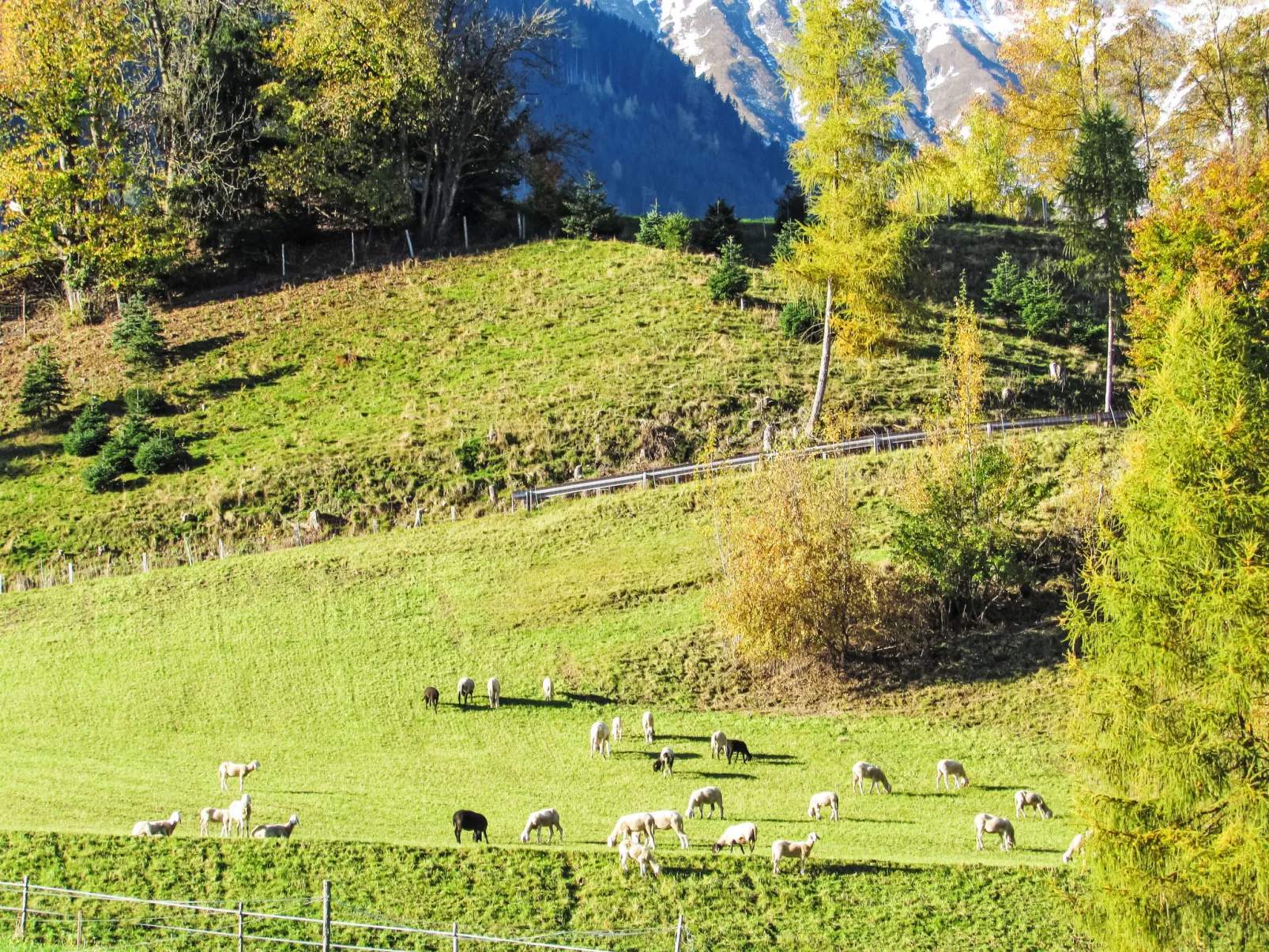 S'Häusl am Gilgahof - Draußen