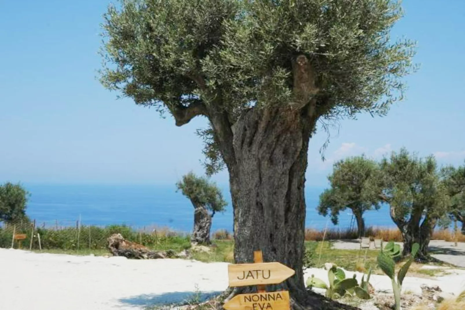 JATU RETREAT - Gebiete Sommer 1 km