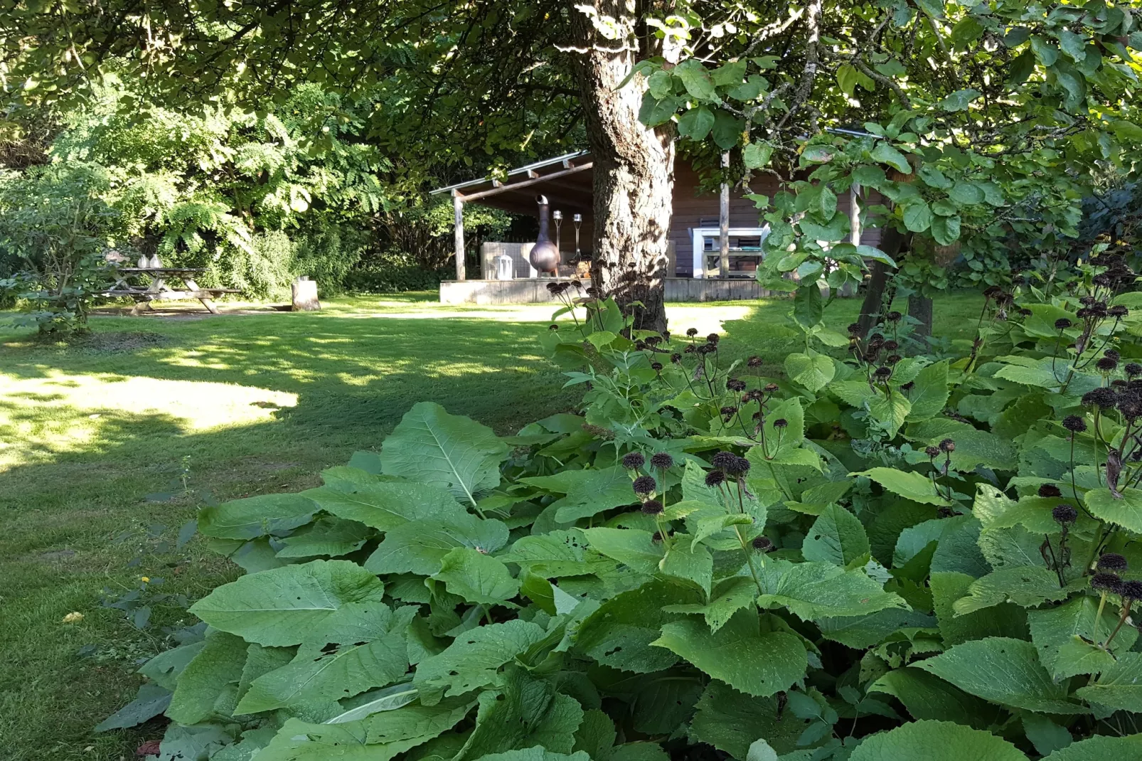 Au Foyer - Garten Sommer