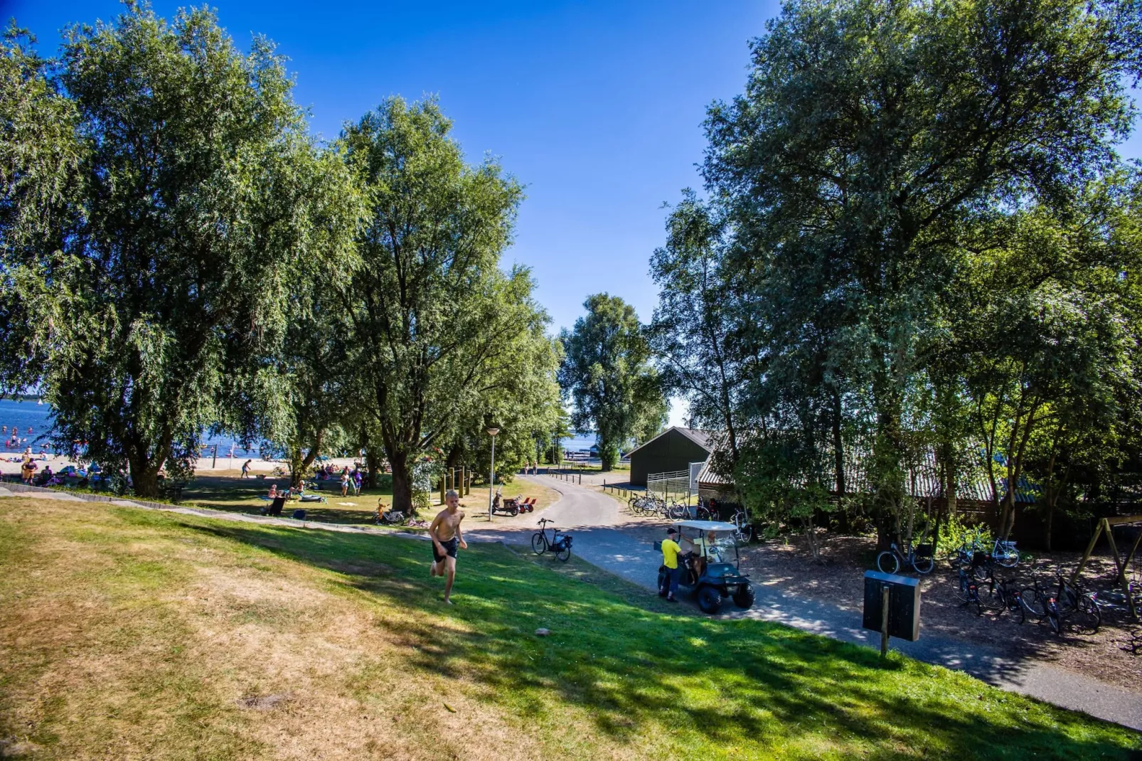 Vakantiepark Bergumermeer 11 - Areas within 5km in summer