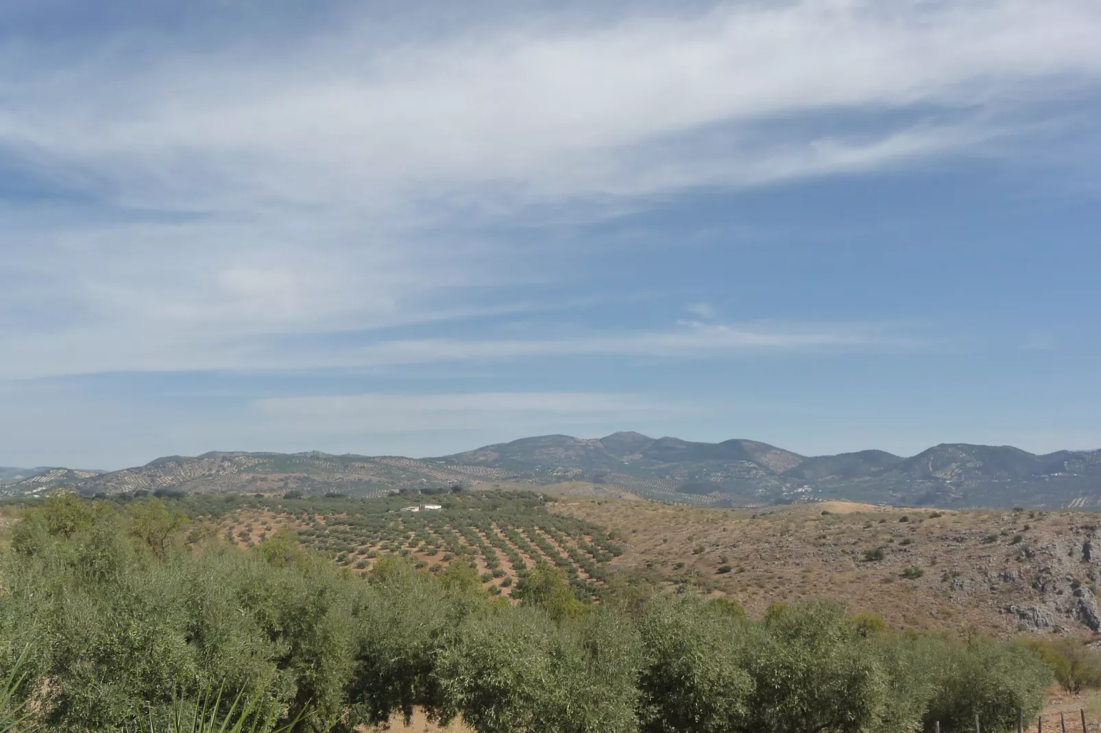 Cortijo El Morron - Aussicht Sommer