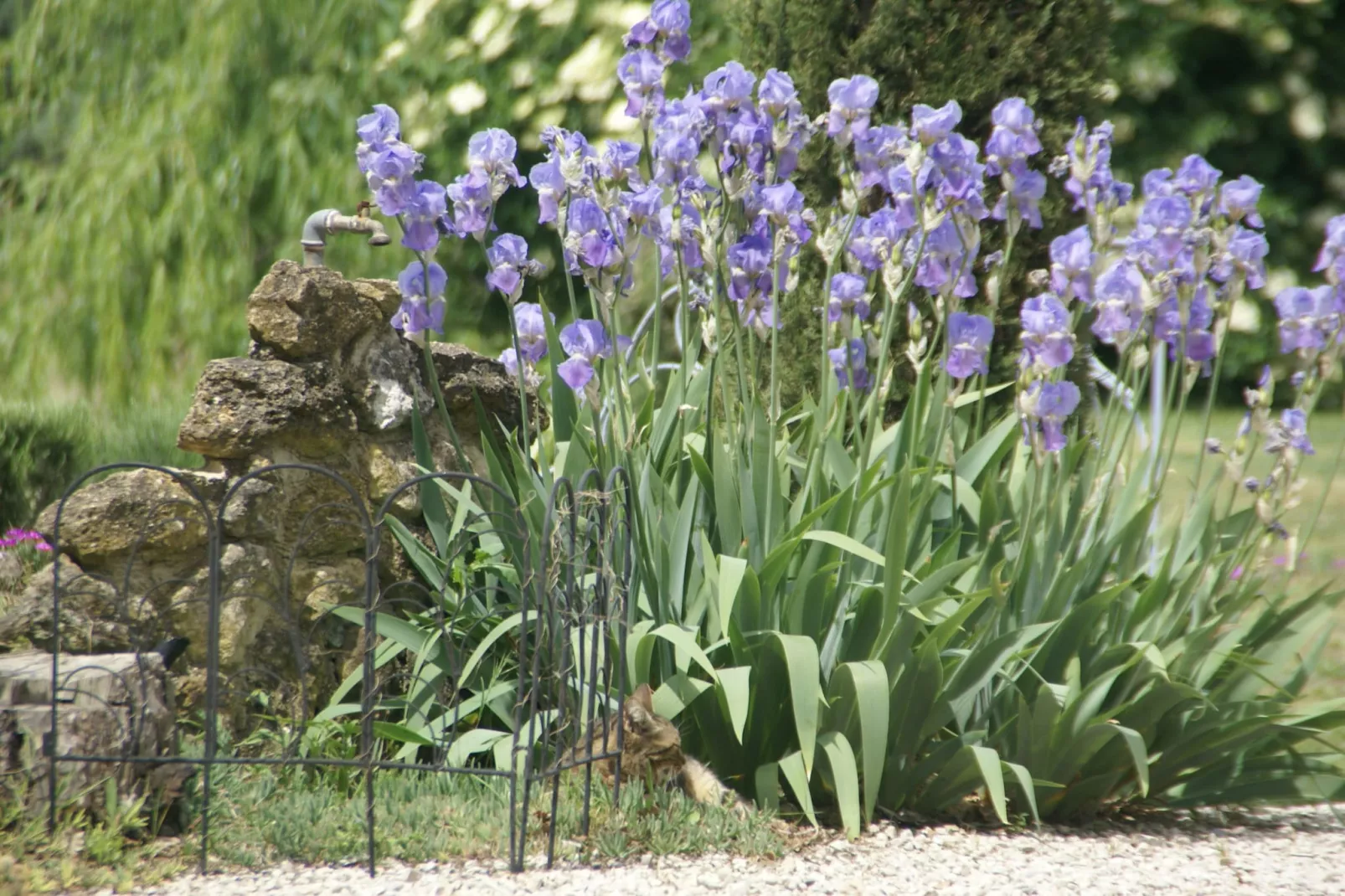 Maison de vacances Pertuis - Ambiente
