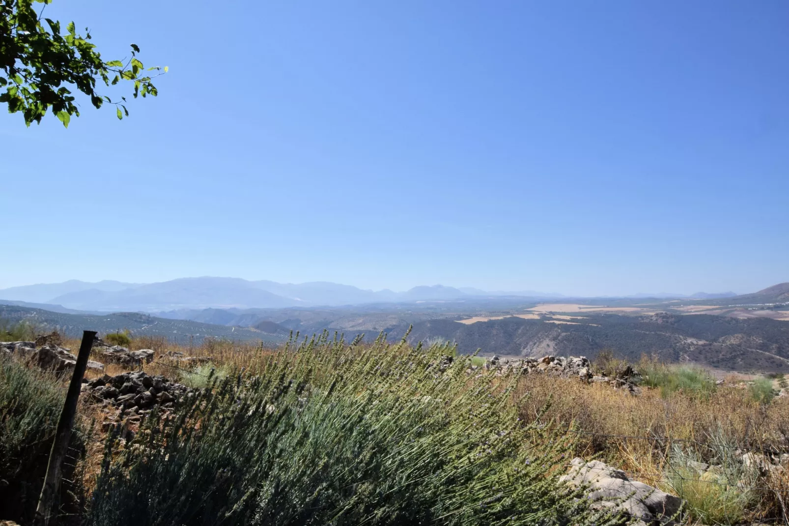 Cortijo El Morron - Aussicht Sommer