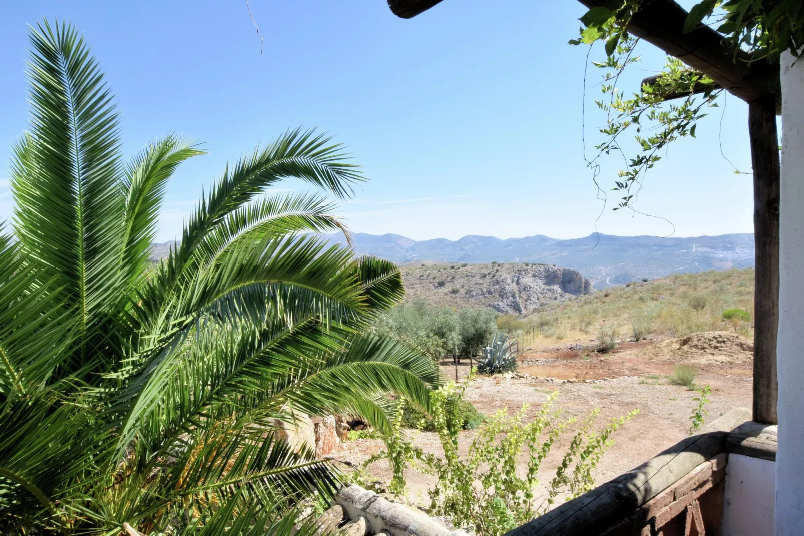 Cortijo El Morron - Aussicht Sommer