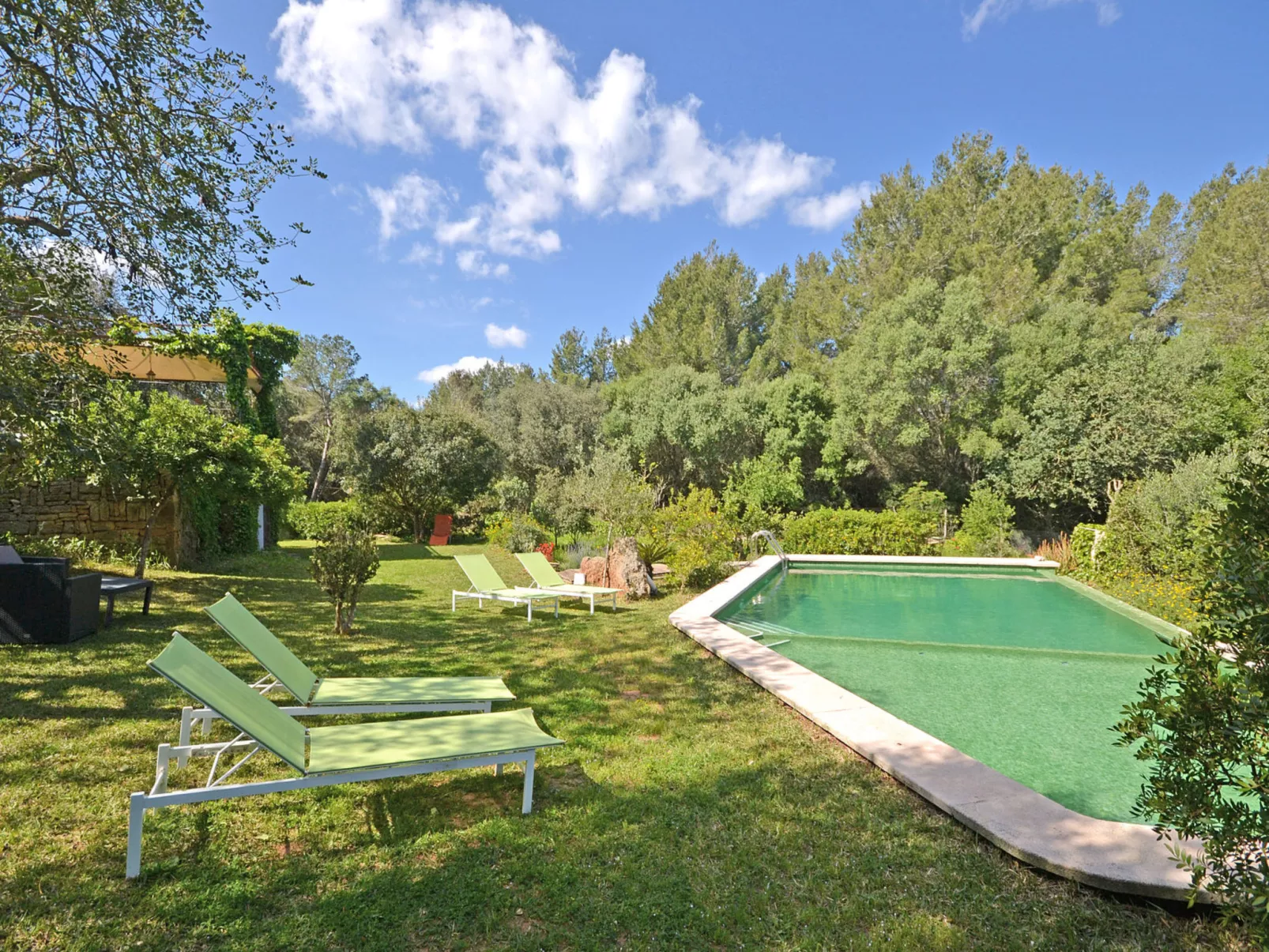 Spiros &quot-Camp Roig&quot-