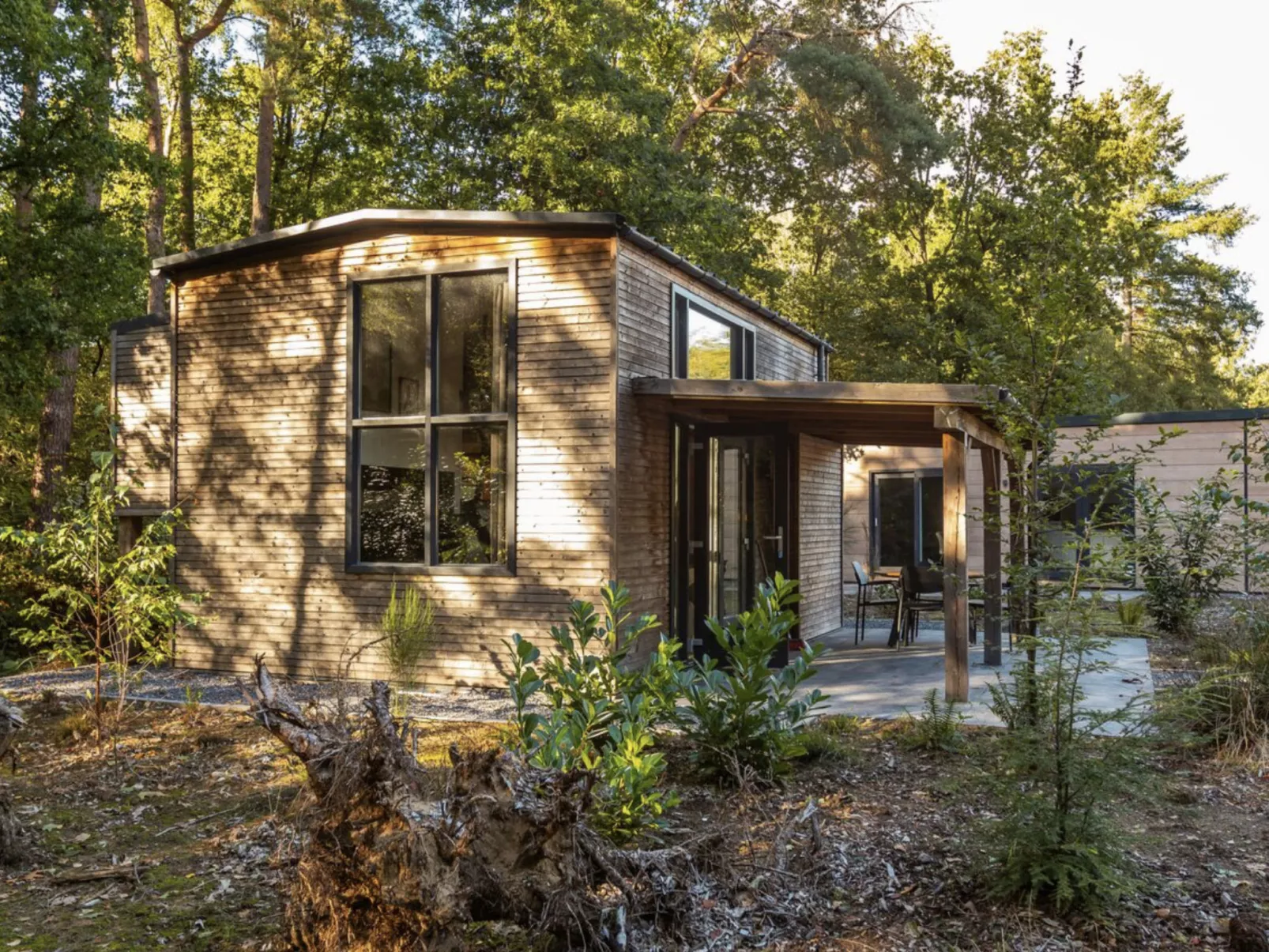 Vakantiepark De Wiltzangh - Tiny Borg