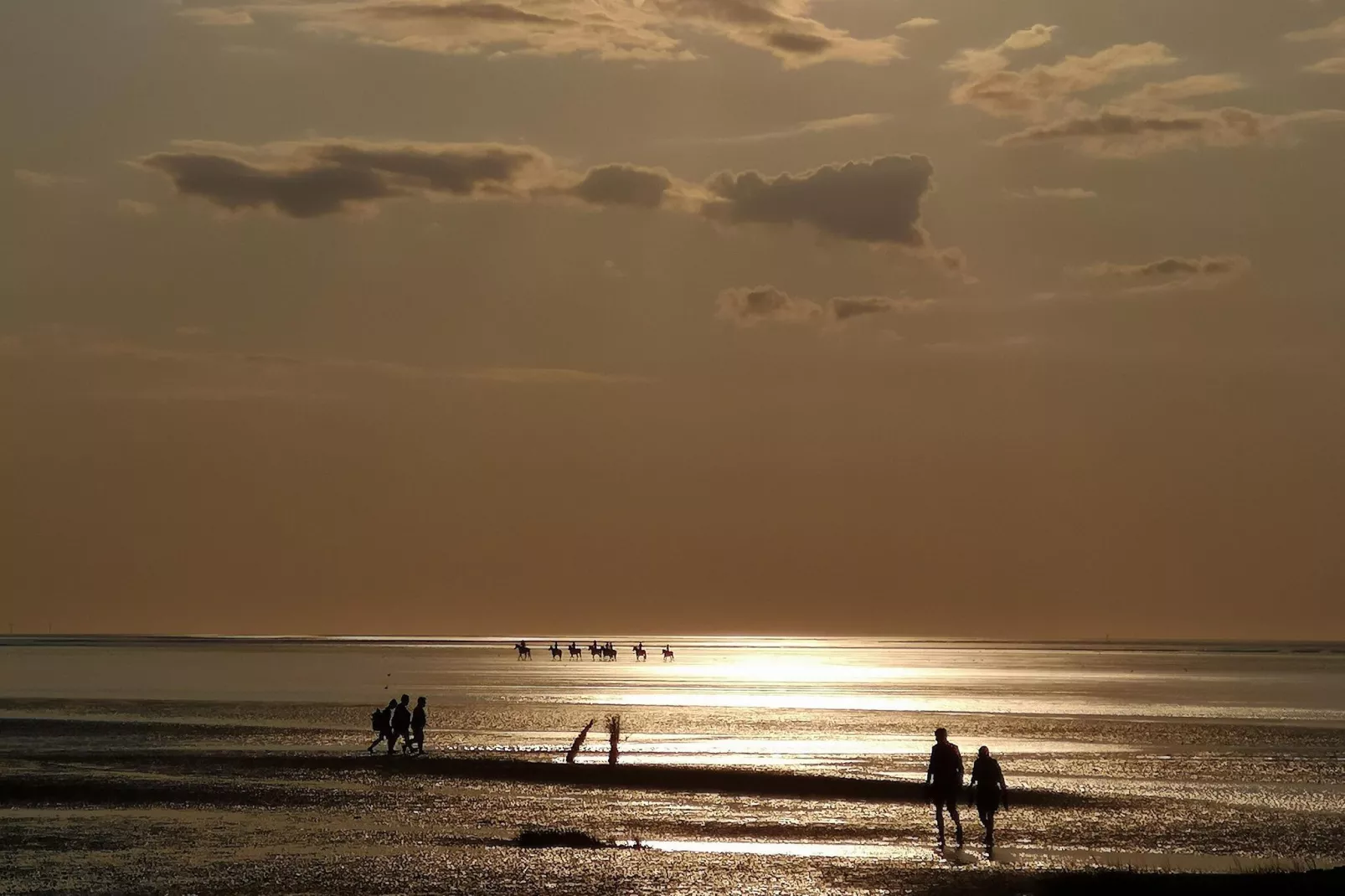 Neue Ferienwohnung in Cuxhaven-Gebiete Sommer 1 km