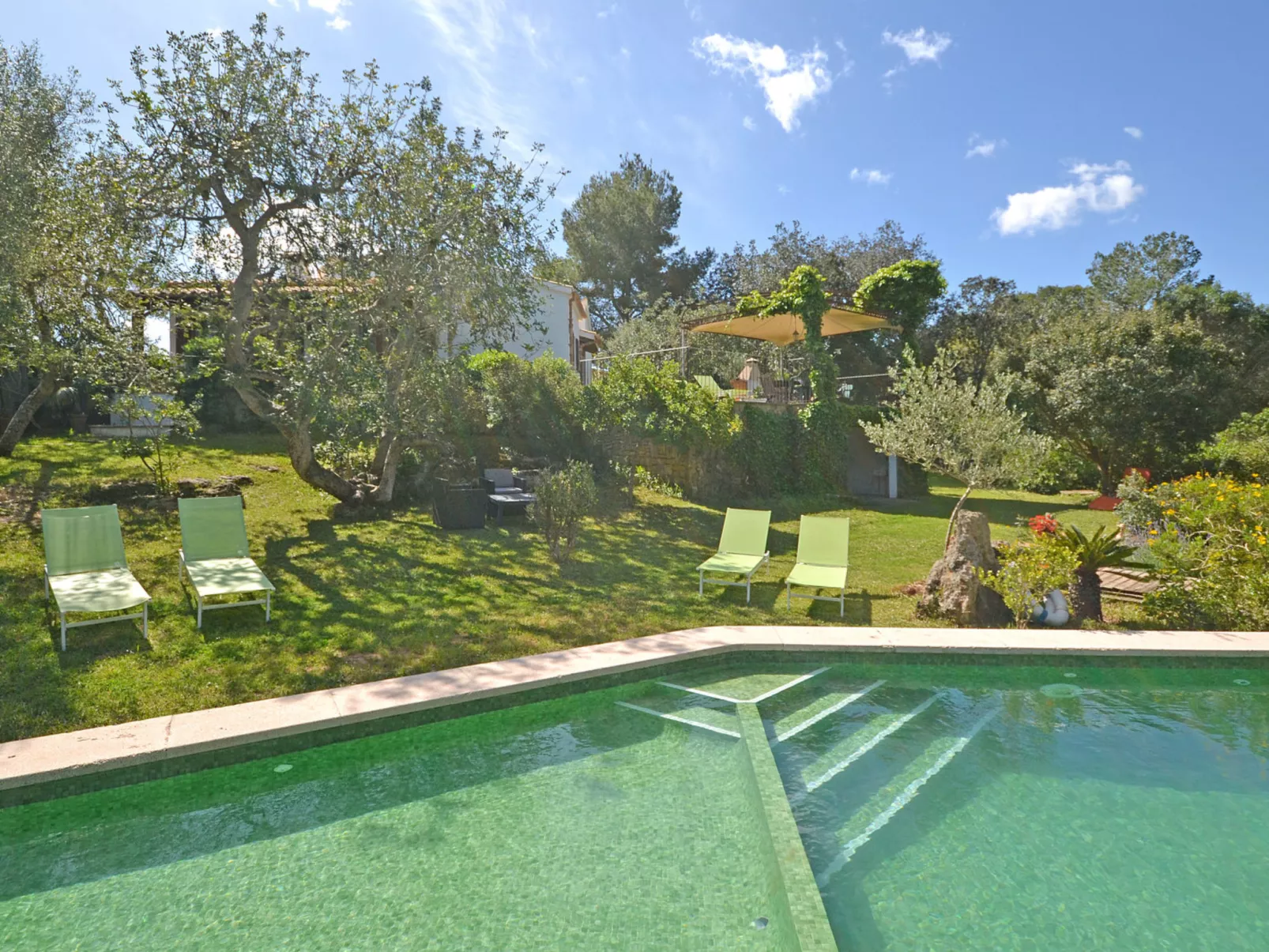 Spiros &quot-Camp Roig&quot-