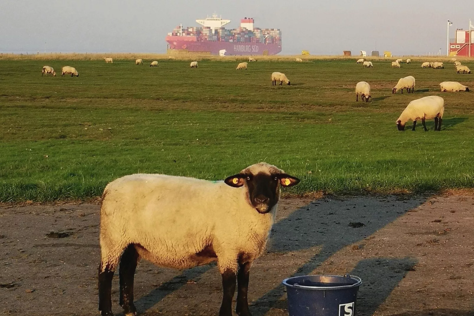 Neue Ferienwohnung in Cuxhaven-Ambiente