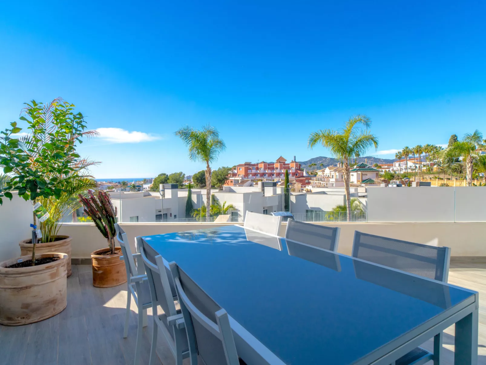 Royal Palm Luxe by Casasol