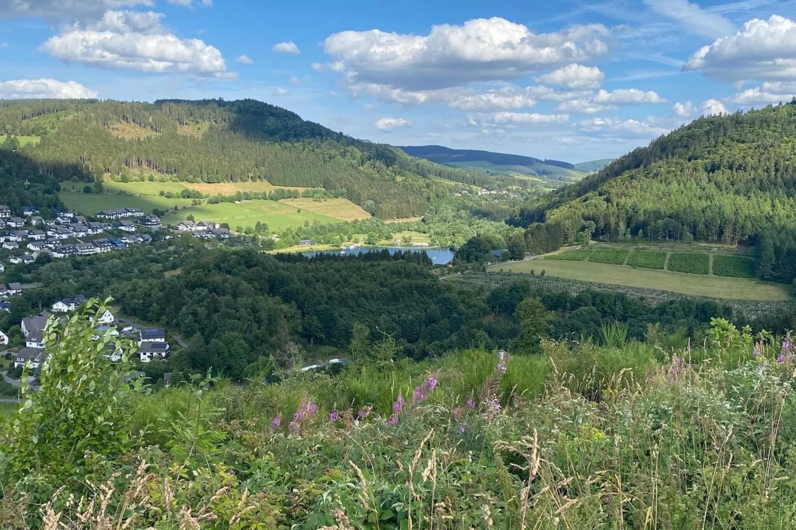 Studio Am Eschenberg 4-View summer