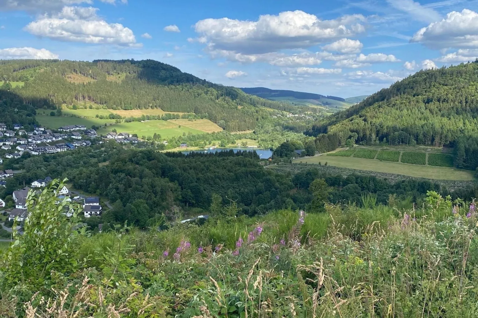 Studio Am Eschenberg 5-Aussicht Sommer