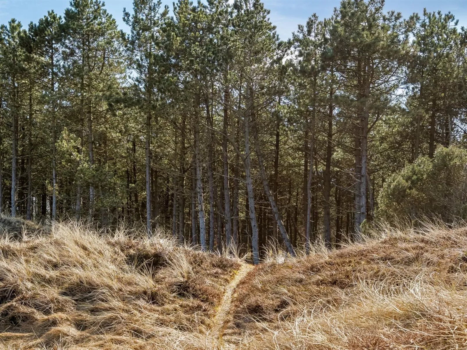 "Steinunn" - 600m from the sea