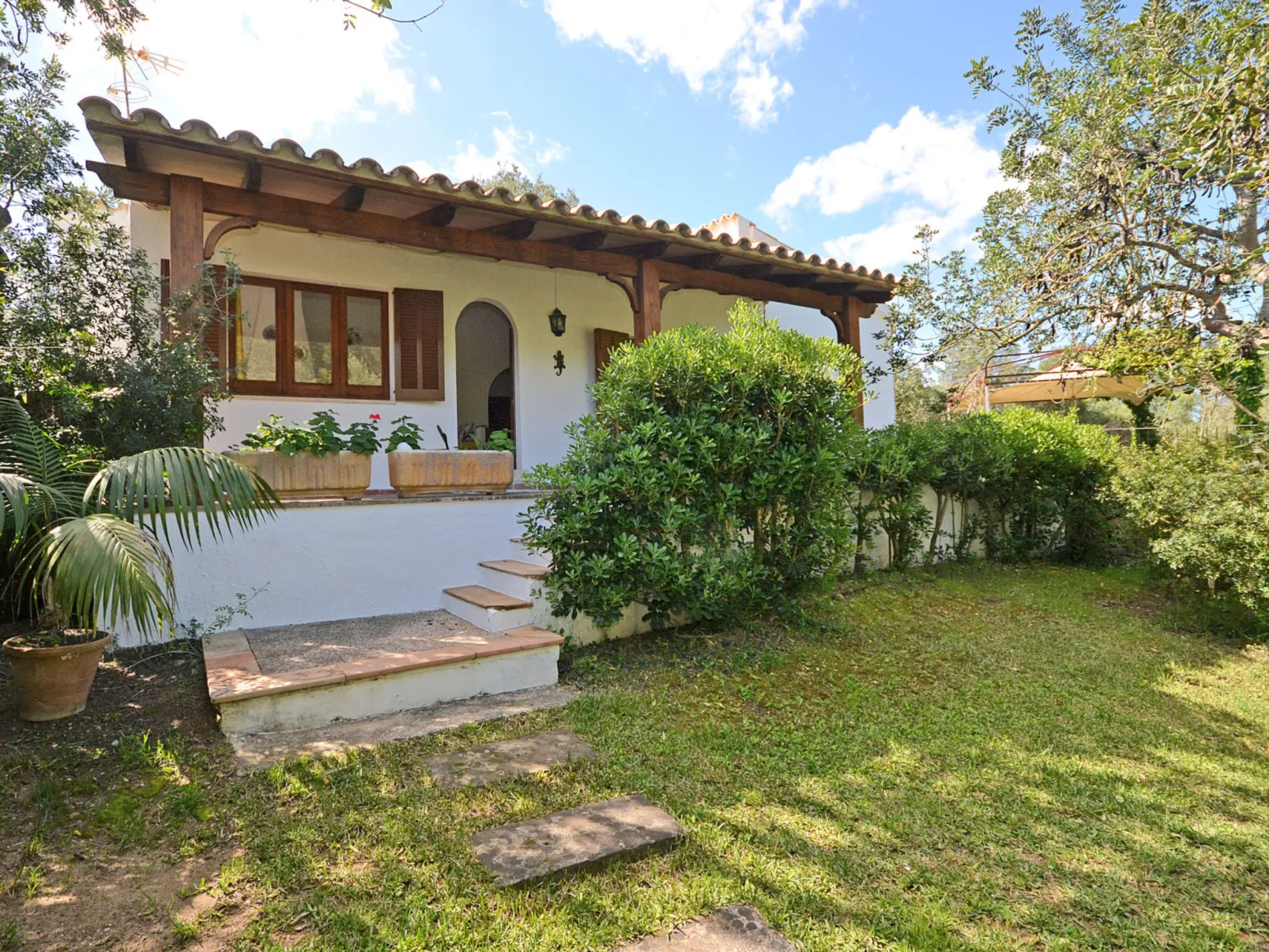 Spiros &quot-Camp Roig&quot-